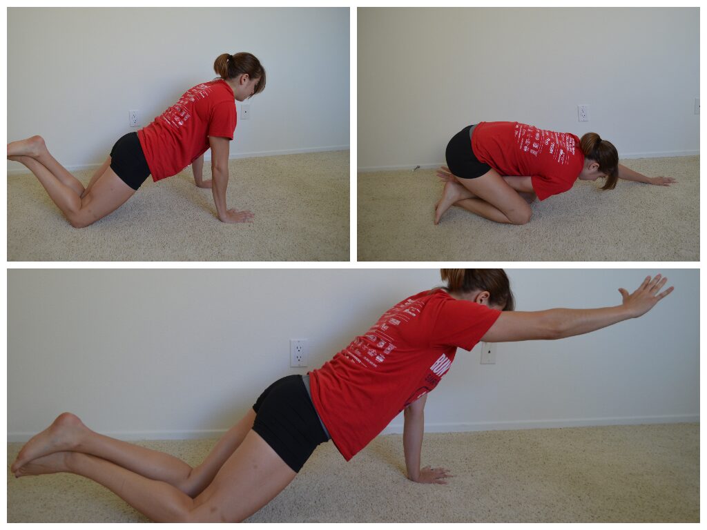 modified plank 