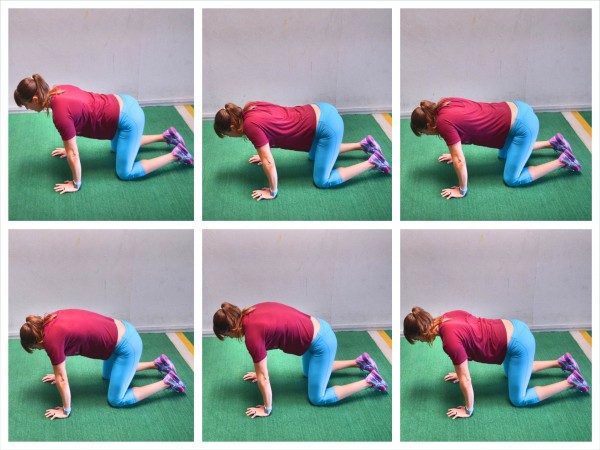 quadruped shoulder circles