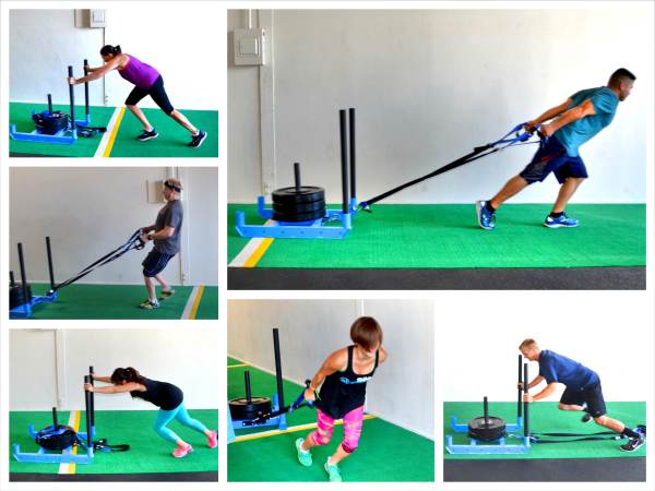 sled-training