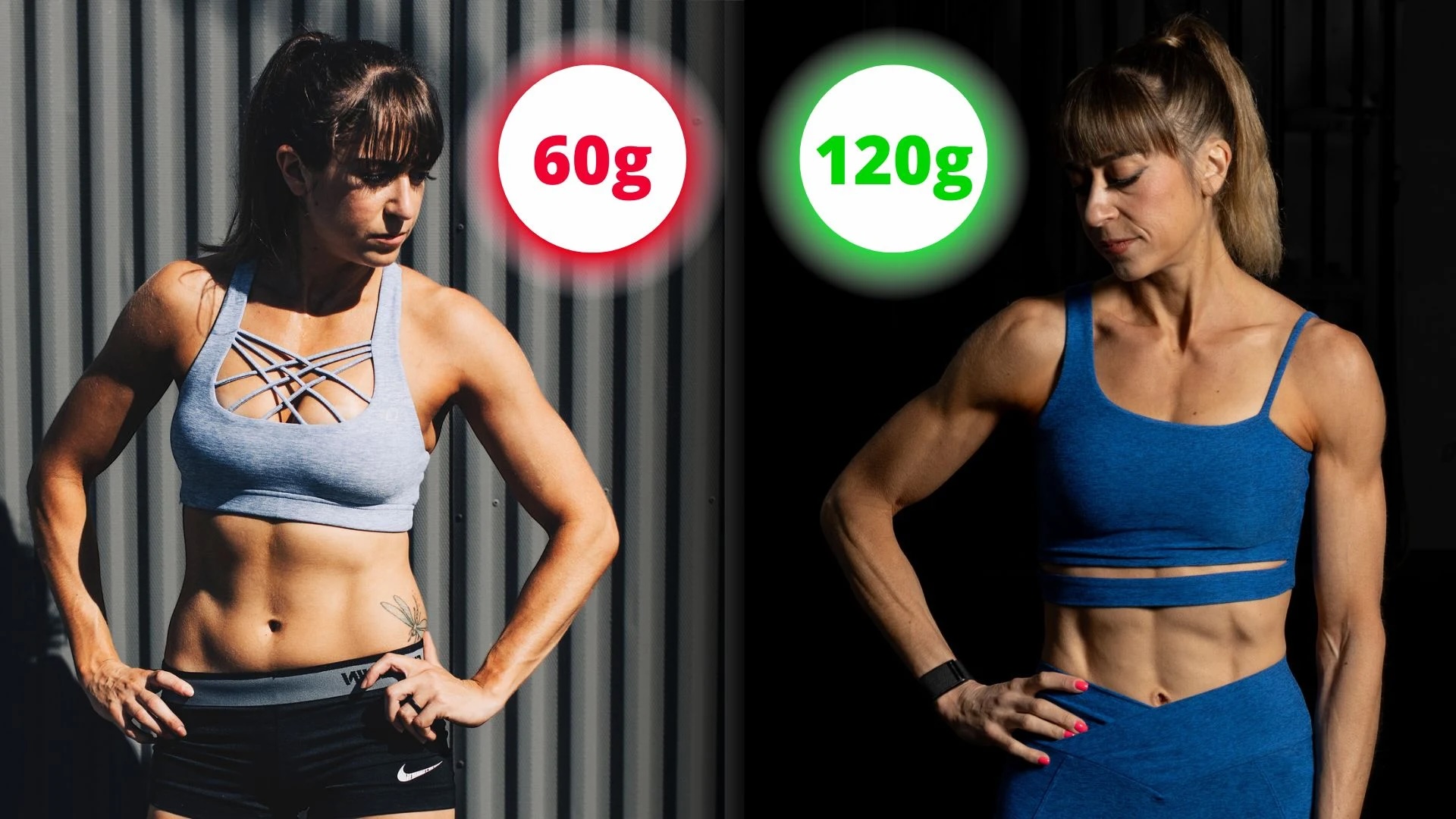protein and fat loss and longevity